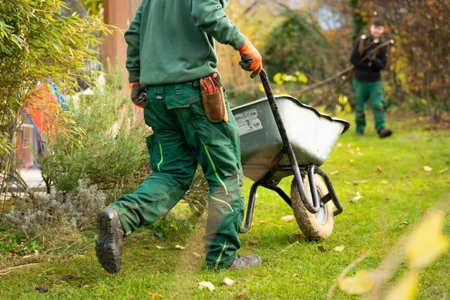 Gärtner in Arbeitskleidung schiebt eine Schubkarre durch einen Garten